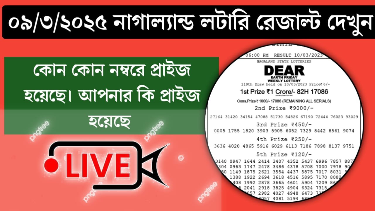 Nagaland Lottery Result 10th March